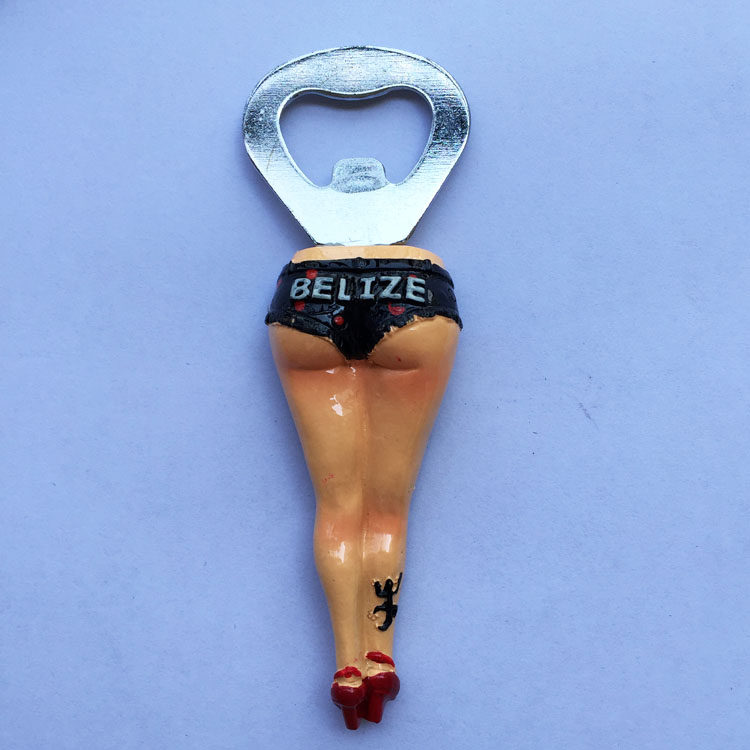 Belize Travel Commemorative Re – Home Bar And Fridge Bewertung und Preis